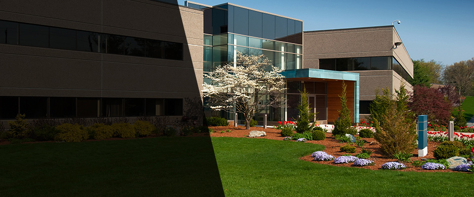 New Plymouth Landscapers