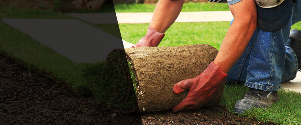 New Plymouth Landscapers